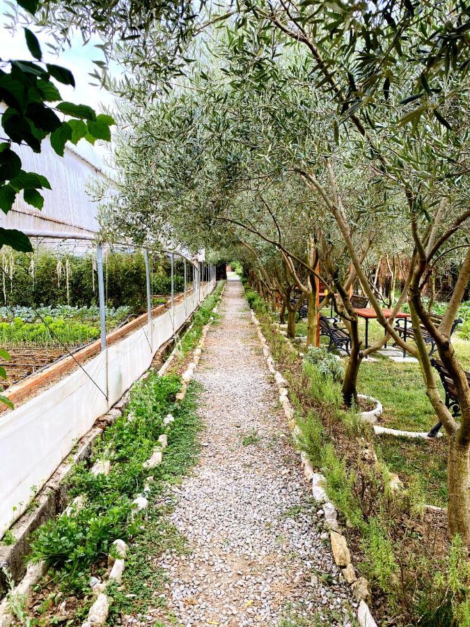 Blerina Farm House Ljaknasi Exterior foto